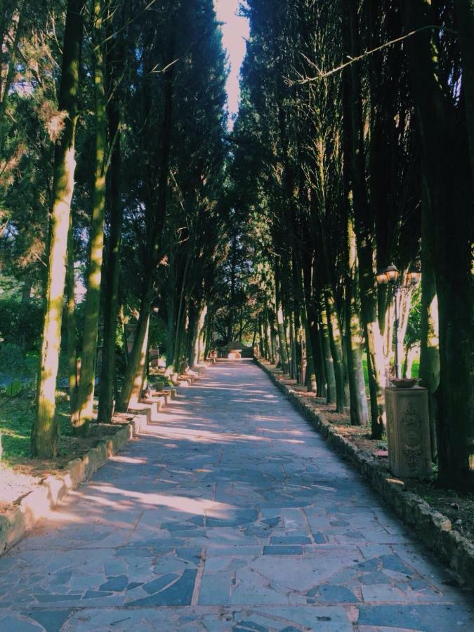 Villa Jacona Caltagirone Eksteriør billede